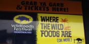 Have A Wild & Wacky Time At The Hokitika Wild Foods Festival 2012